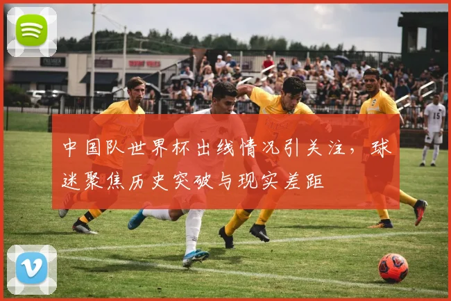 中国队世界杯出线情况引关注，球迷聚焦历史突破与现实差距