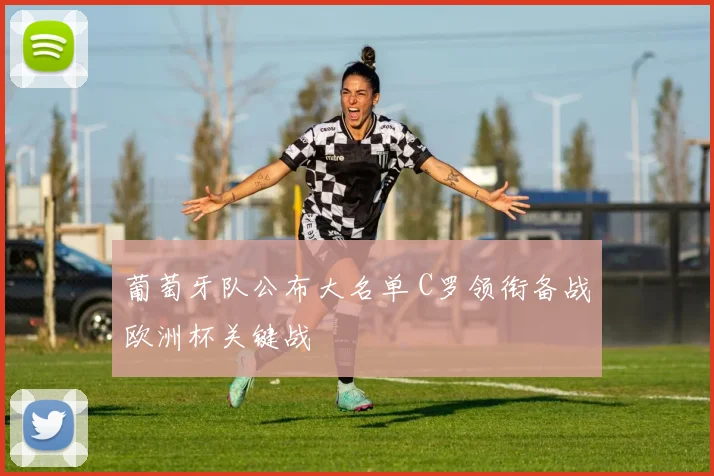 葡萄牙队公布大名单 C罗领衔备战欧洲杯关键战