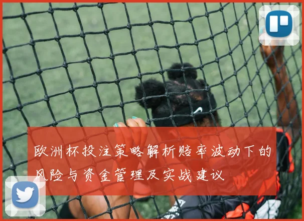 欧洲杯投注策略解析赔率波动下的风险与资金管理及实战建议